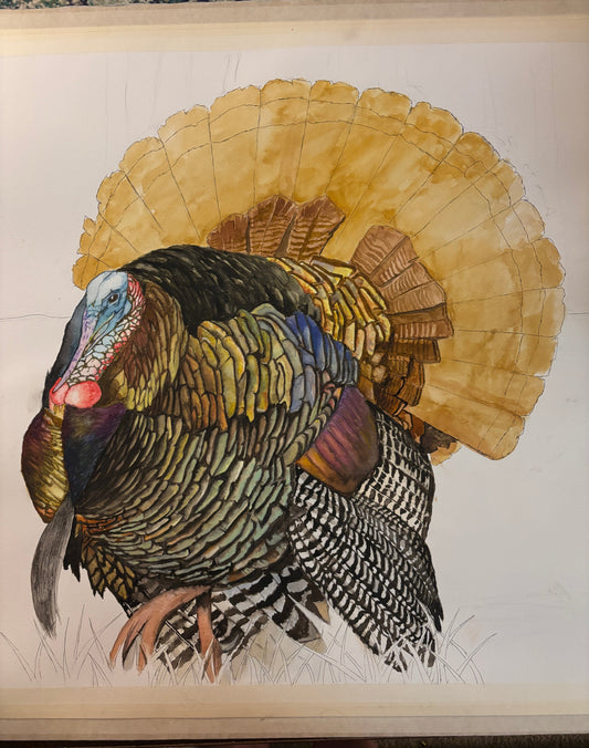 Work in Progress: Capturing the Wild Strut