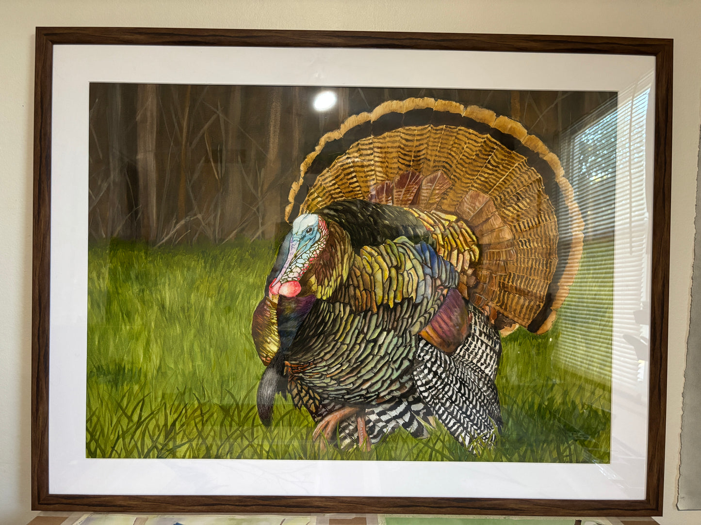 Wild Turkey in Spring