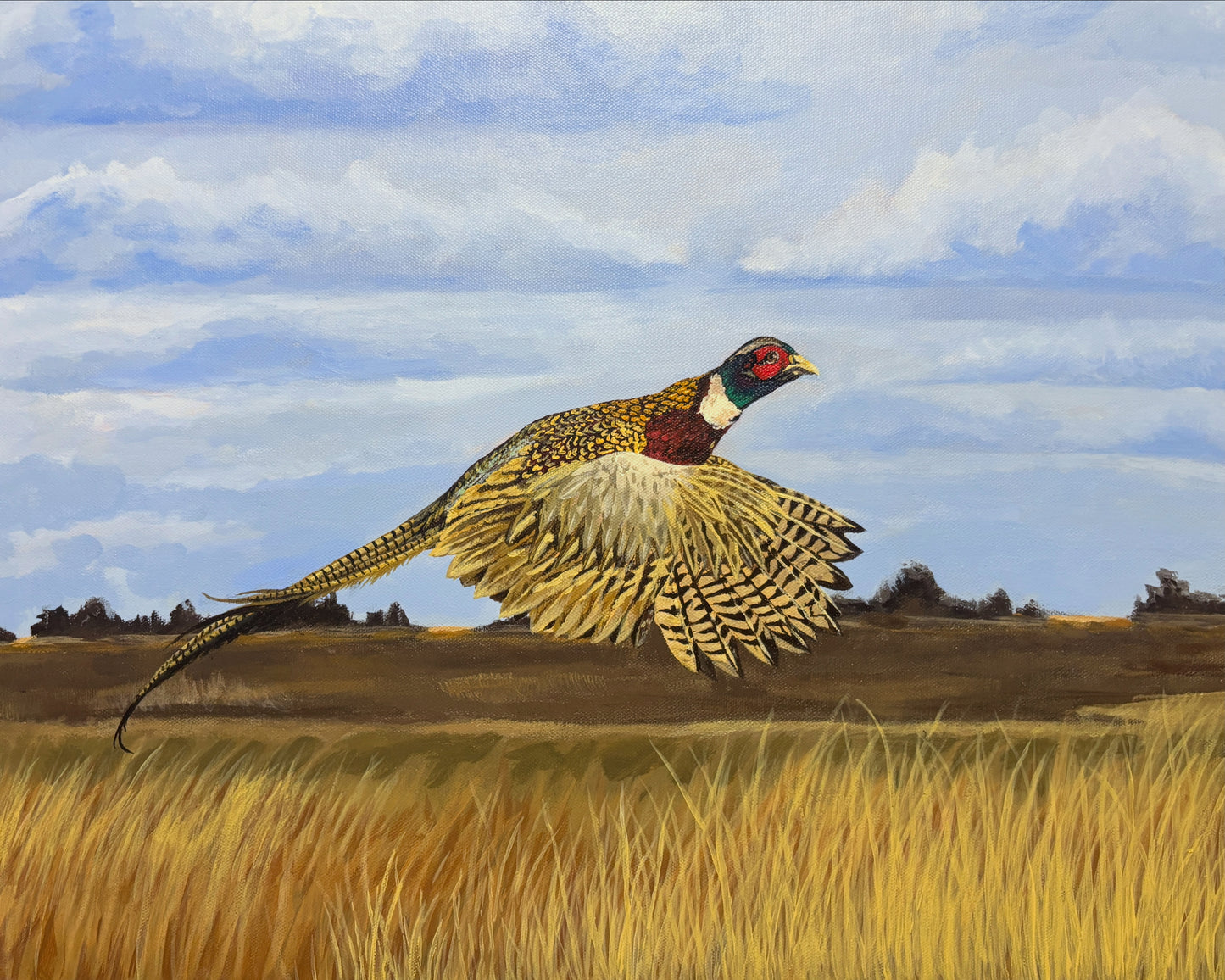 Flight over the Grasslands