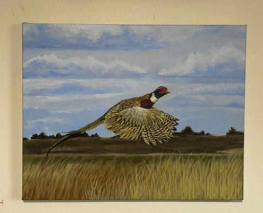 Flight over the Grasslands