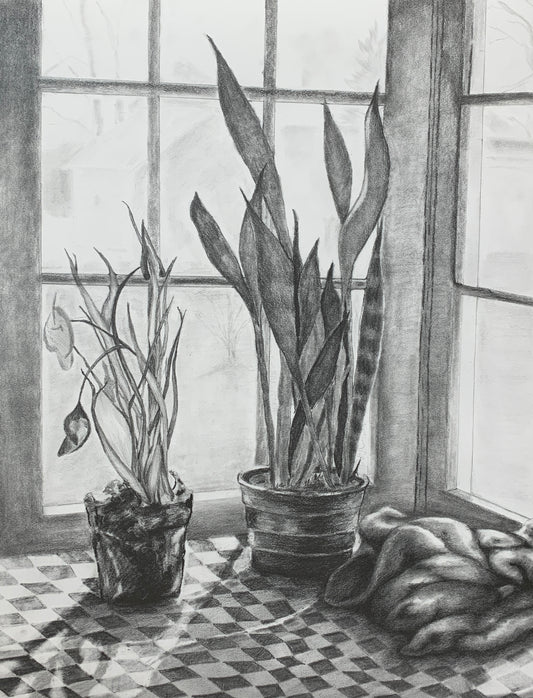 By the Window