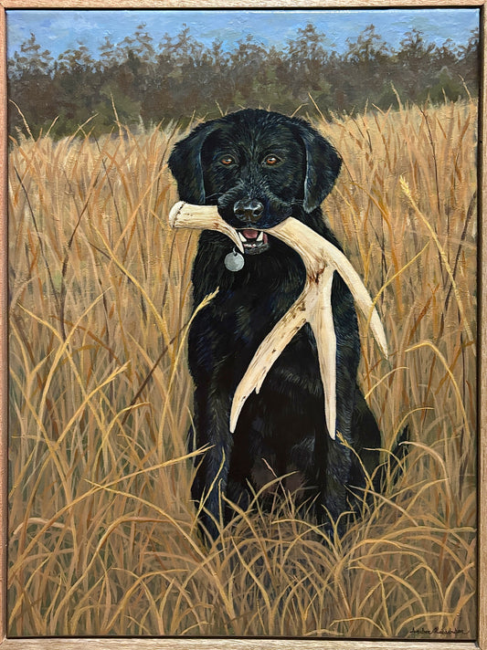Shed Hunter
