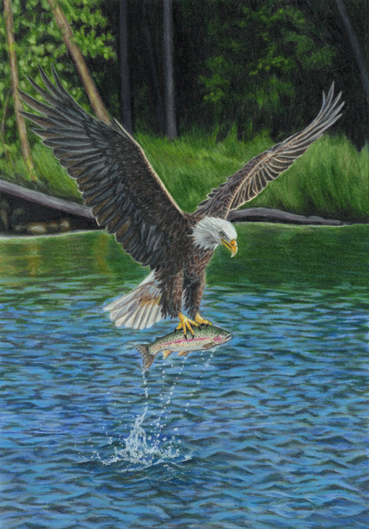 The Catch