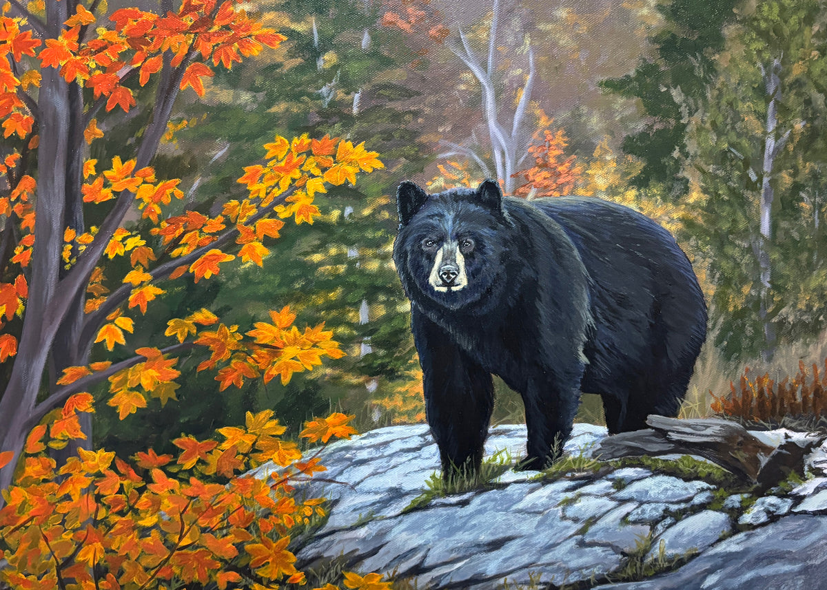 Autumn Bear