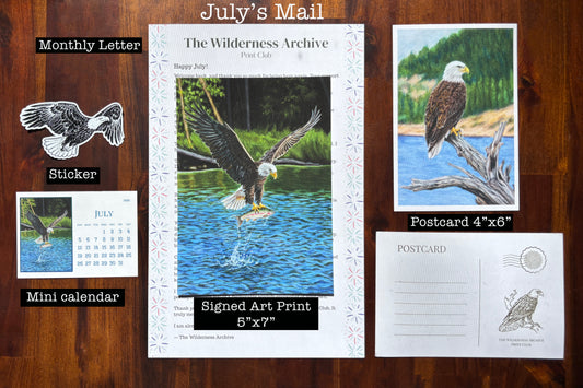 Catch-Up Bundle: July 2026