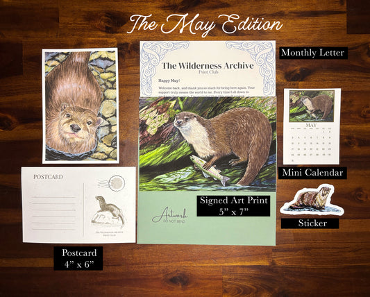 Catch-Up Bundle: May 2026