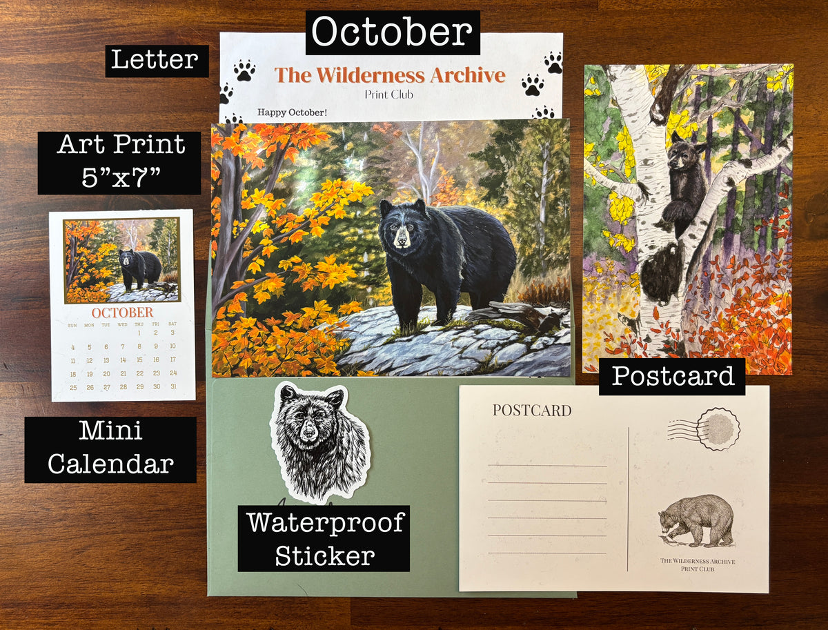The Wilderness Archive Print Club
