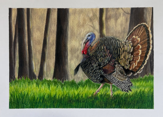 Spring Strut